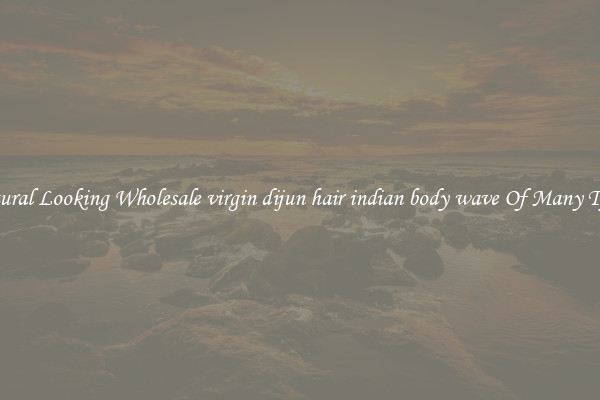 Natural Looking Wholesale virgin dijun hair indian body wave Of Many Types