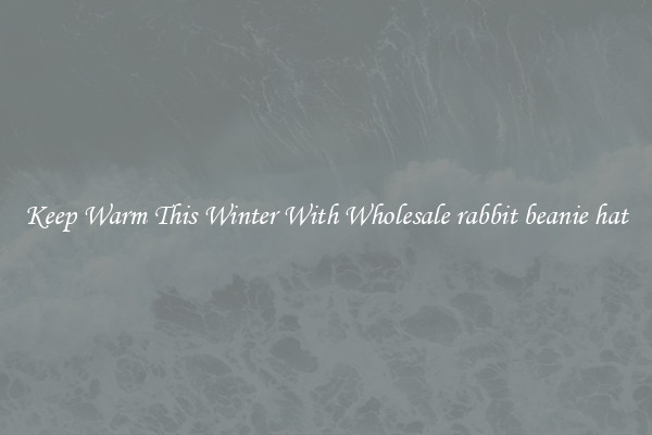 Keep Warm This Winter With Wholesale rabbit beanie hat