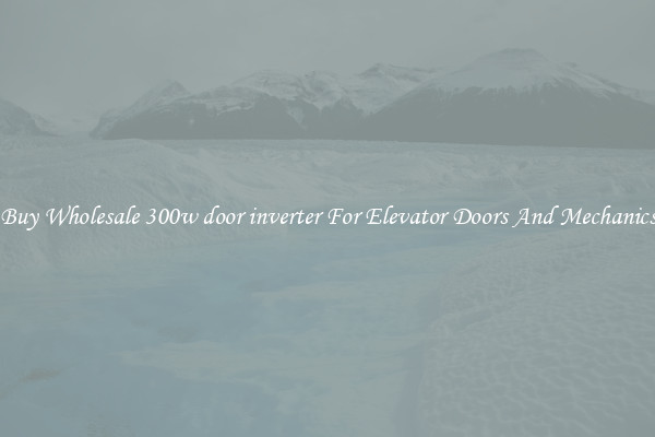 Buy Wholesale 300w door inverter For Elevator Doors And Mechanics