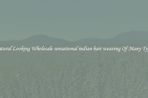 Natural Looking Wholesale sensational indian hair weaving Of Many Types