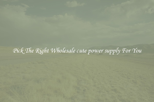 Pick The Right Wholesale cute power supply For You