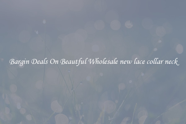 Bargin Deals On Beautful Wholesale new lace collar neck