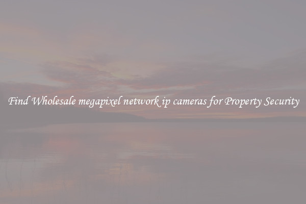 Find Wholesale megapixel network ip cameras for Property Security