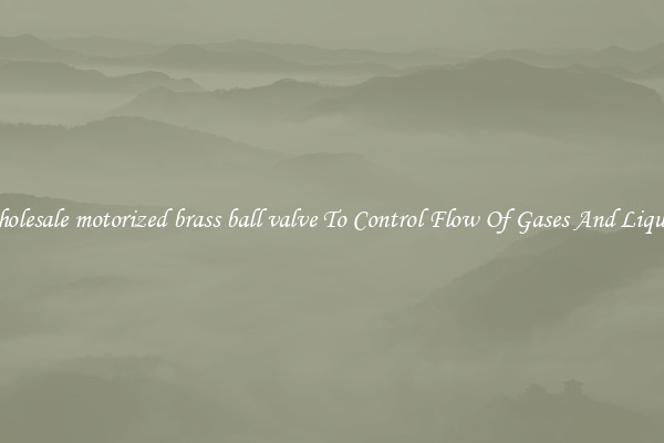 Wholesale motorized brass ball valve To Control Flow Of Gases And Liquids