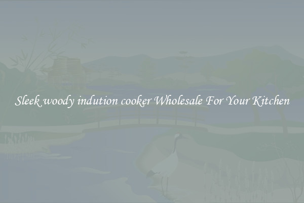 Sleek woody indution cooker Wholesale For Your Kitchen