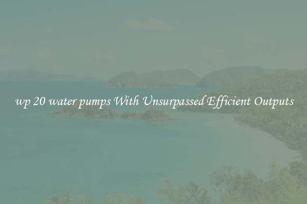 wp 20 water pumps With Unsurpassed Efficient Outputs