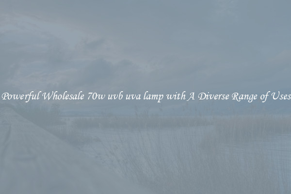 Powerful Wholesale 70w uvb uva lamp with A Diverse Range of Uses