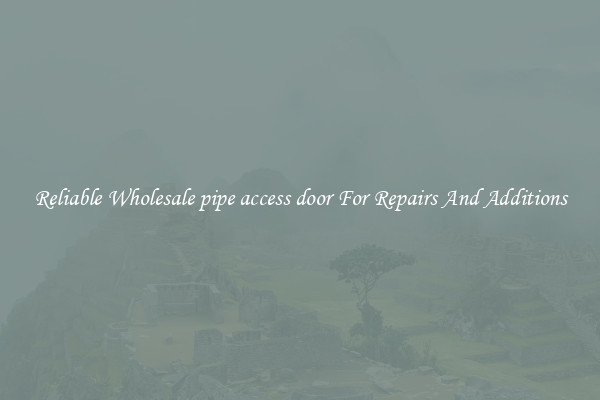 Reliable Wholesale pipe access door For Repairs And Additions