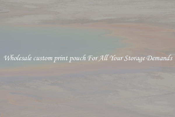 Wholesale custom print pouch For All Your Storage Demands