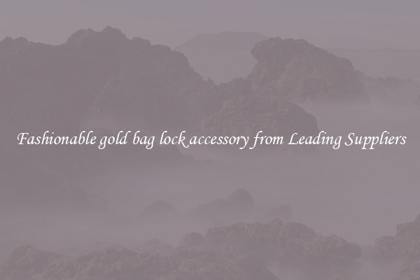 Fashionable gold bag lock accessory from Leading Suppliers
