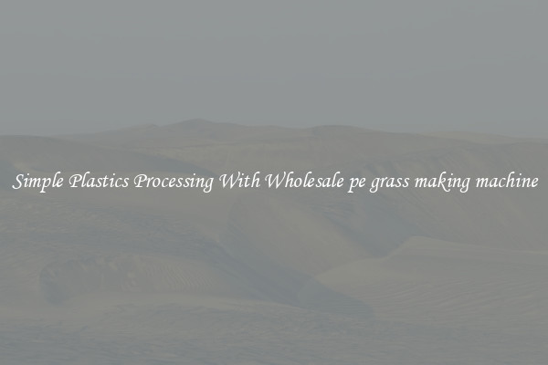 Simple Plastics Processing With Wholesale pe grass making machine
