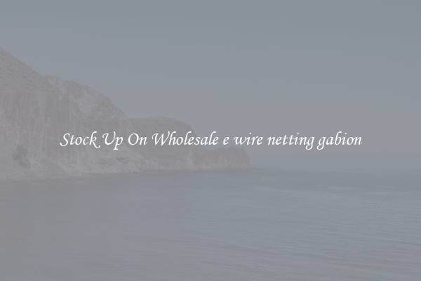 Stock Up On Wholesale e wire netting gabion
