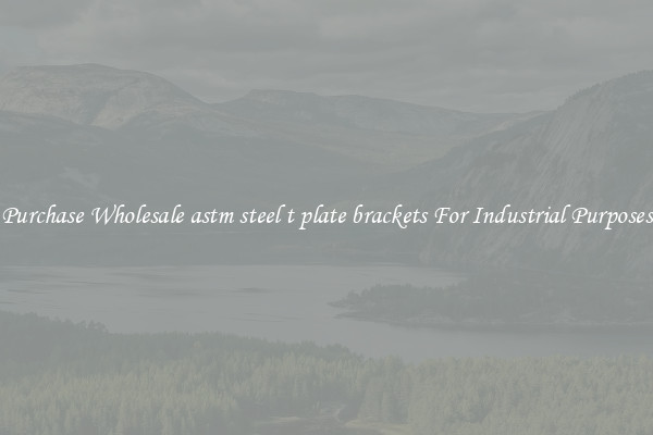 Purchase Wholesale astm steel t plate brackets For Industrial Purposes