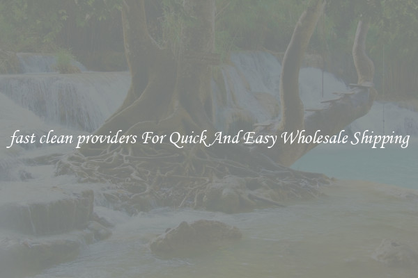 fast clean providers For Quick And Easy Wholesale Shipping