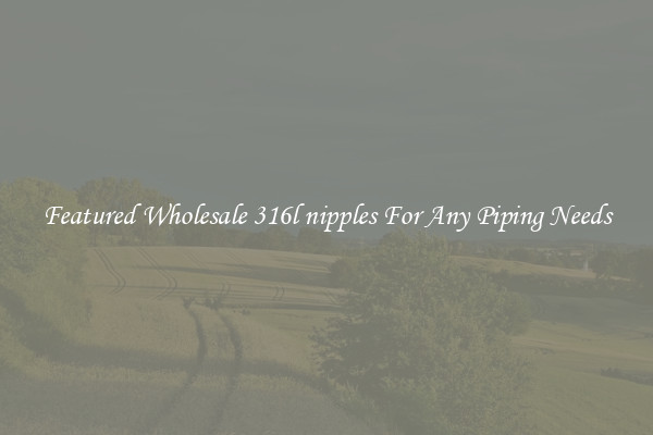 Featured Wholesale 316l nipples For Any Piping Needs