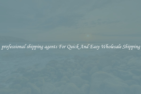 professional shipping agents For Quick And Easy Wholesale Shipping