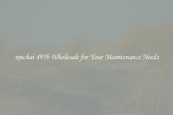 xinchai 495b Wholesale for Your Maintenance Needs