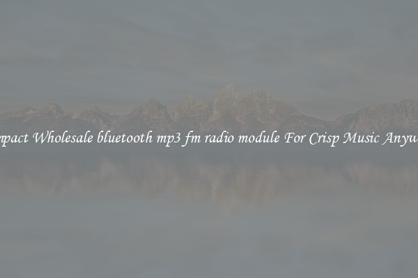 Compact Wholesale bluetooth mp3 fm radio module For Crisp Music Anywhere